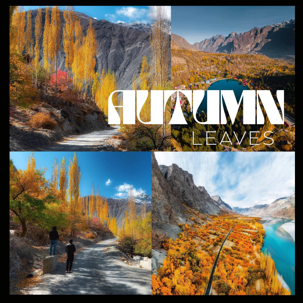 autumn